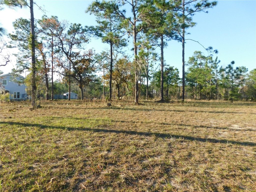 Picture 8