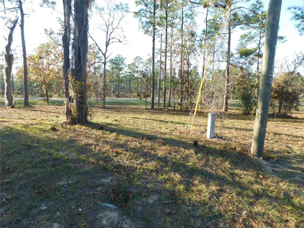 Picture 11