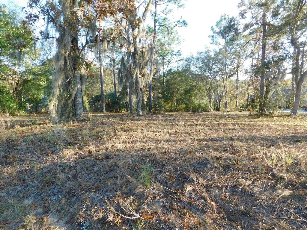 Picture 3