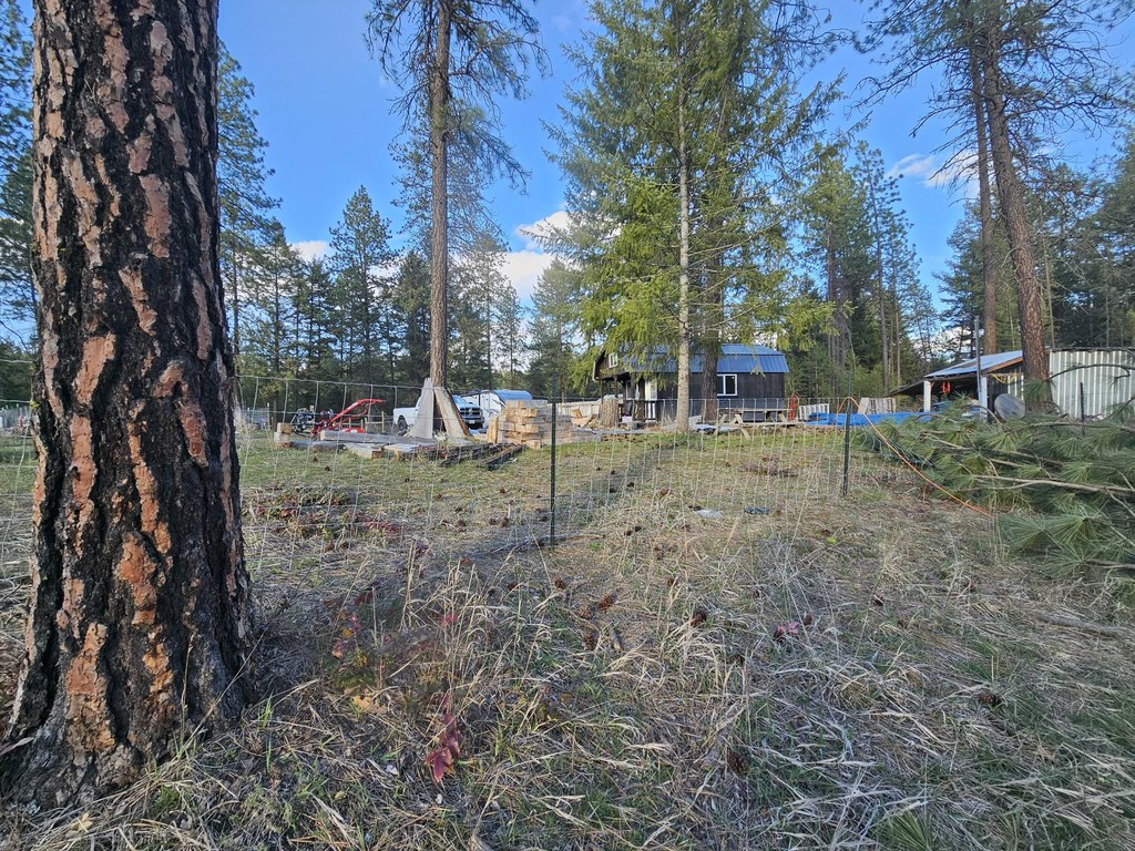 Picture 17