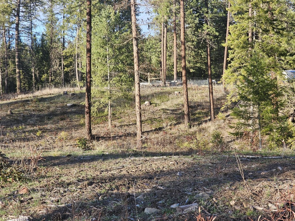 Picture 27