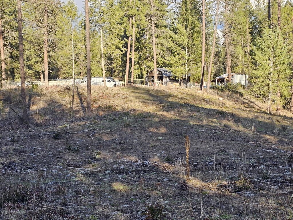 Picture 37