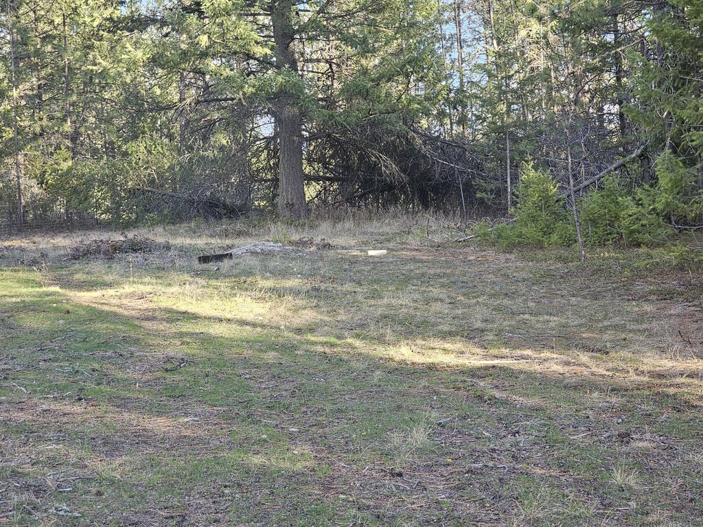 Picture 31