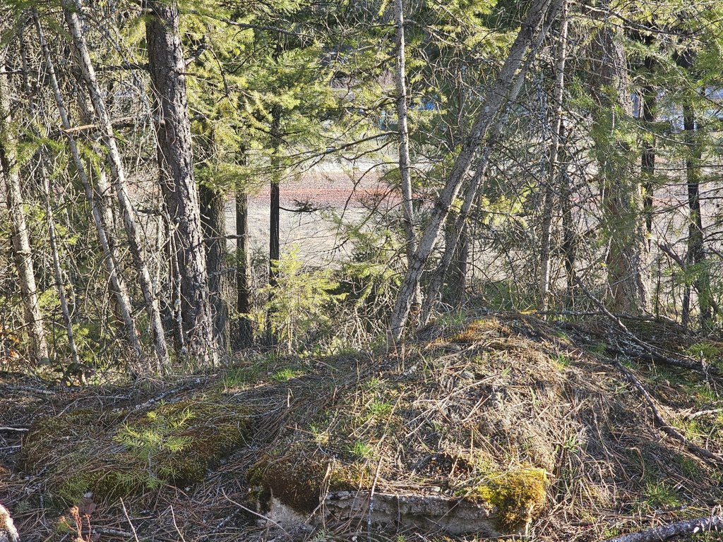 Picture 29