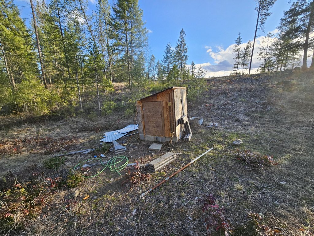 Picture 15