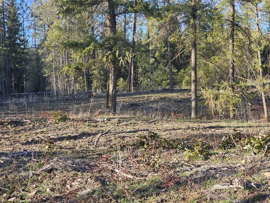 Picture 28