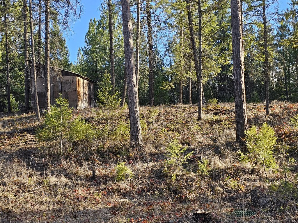 Picture 14