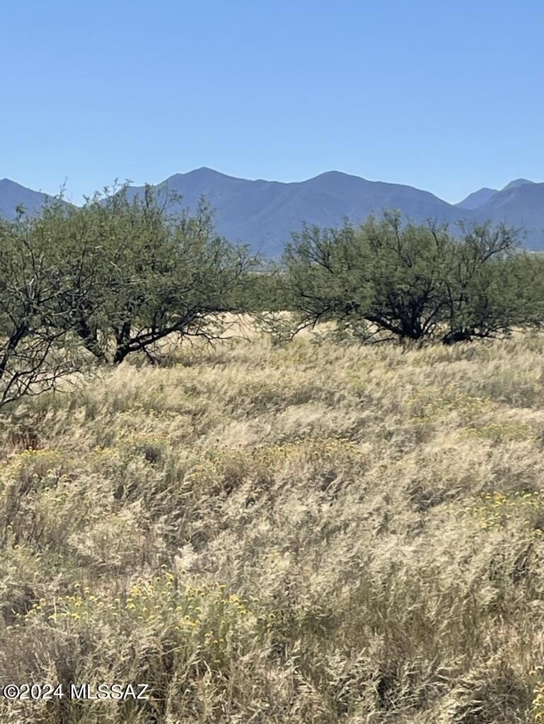 Red Hawk Land Parcel