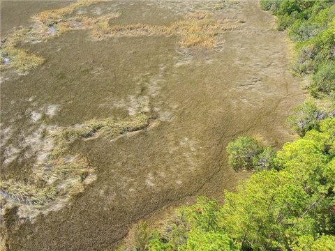 Satilla River Waterfront Land