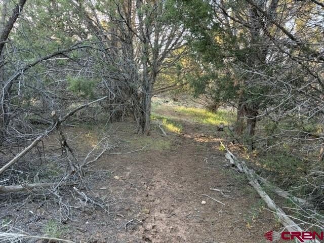 Picture 13