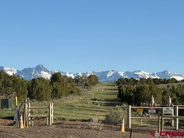 Picture 23