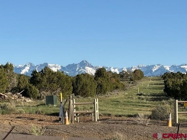 Picture 22