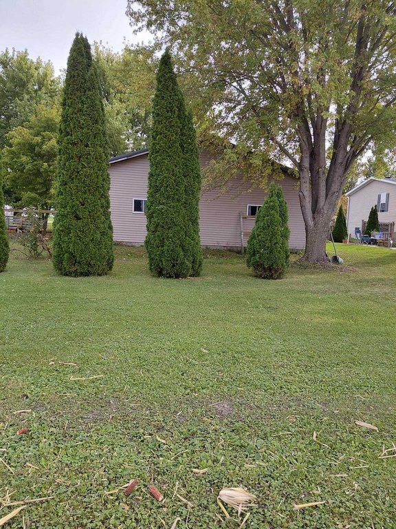 Picture 5
