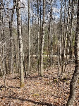 Topton, NC Wooded Land