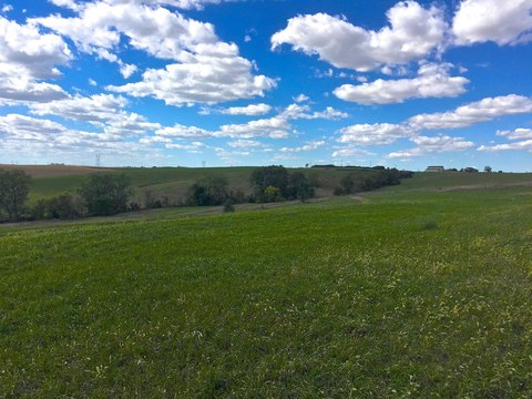 Land For Sale in Hinton