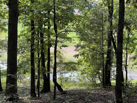 Land, New Concord, KY