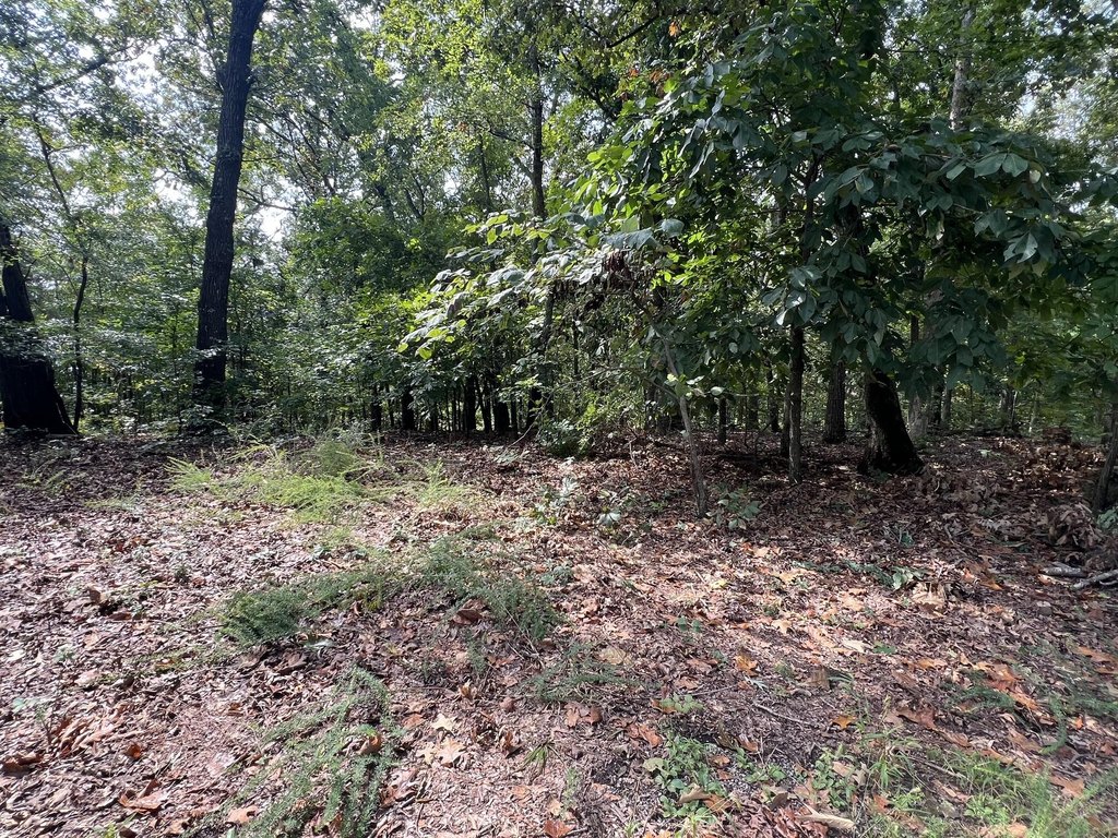 Picture 2