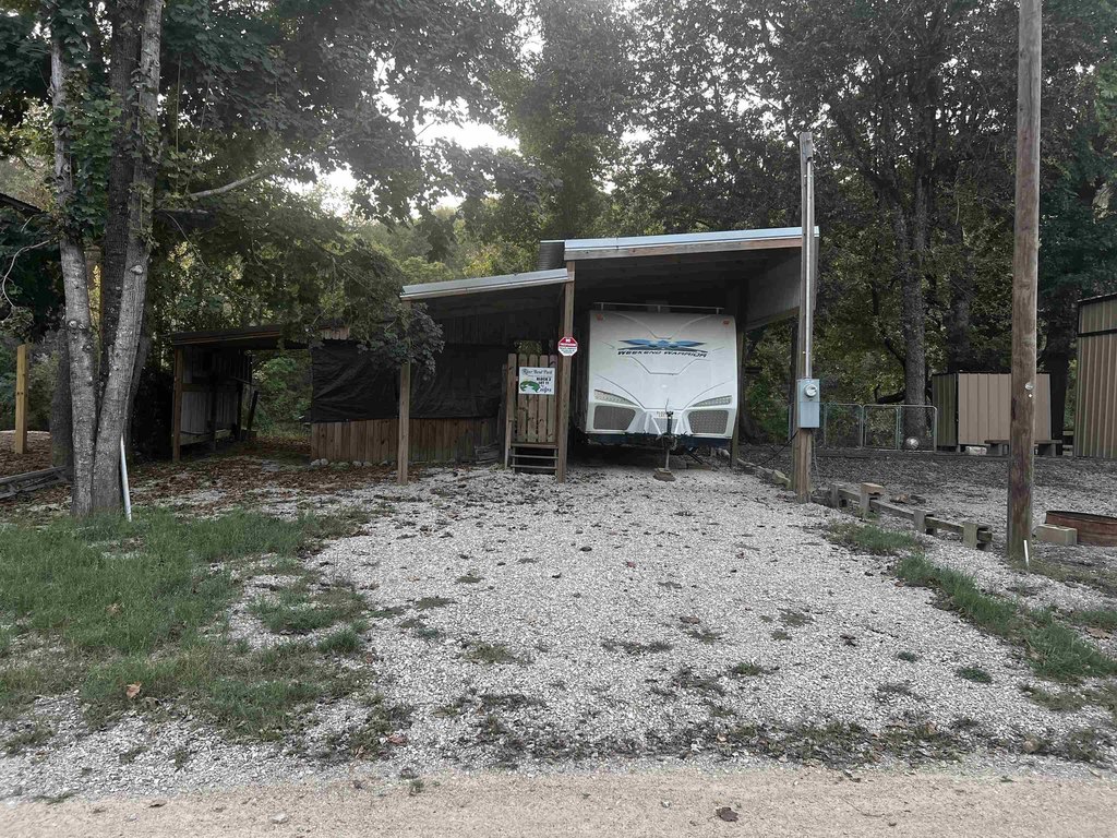 Picture 8