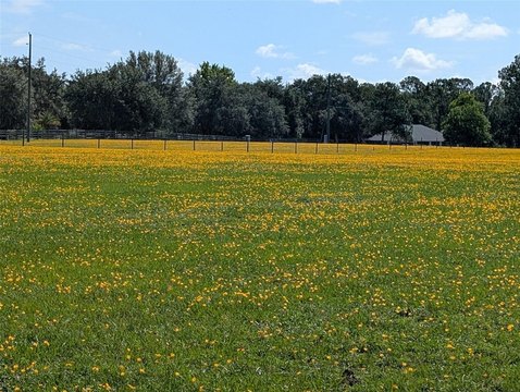 CLERMONT Land with Prize Forage