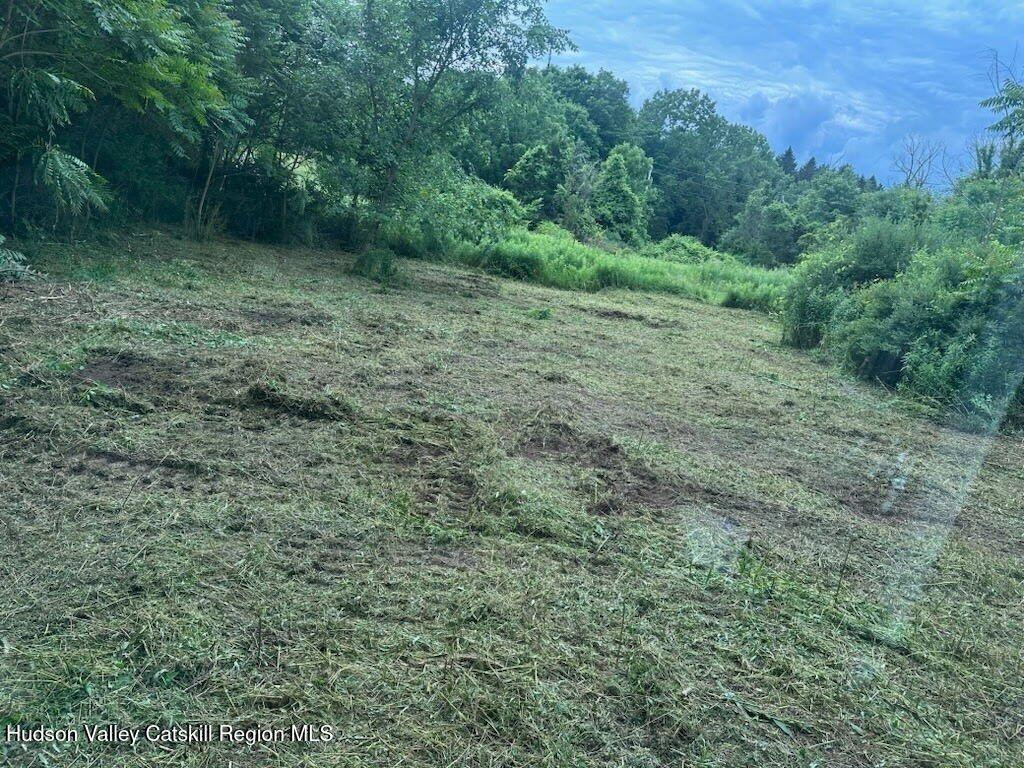 Picture 4