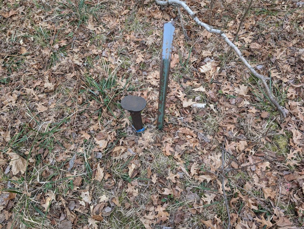 Picture 5