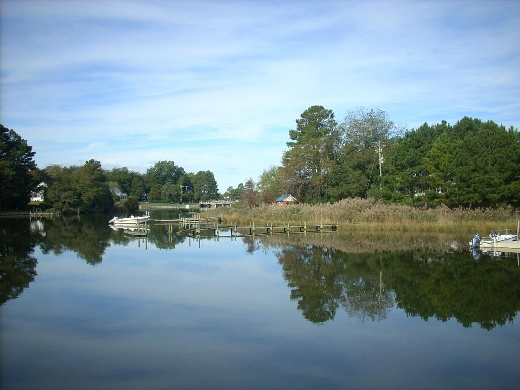 Picture 43