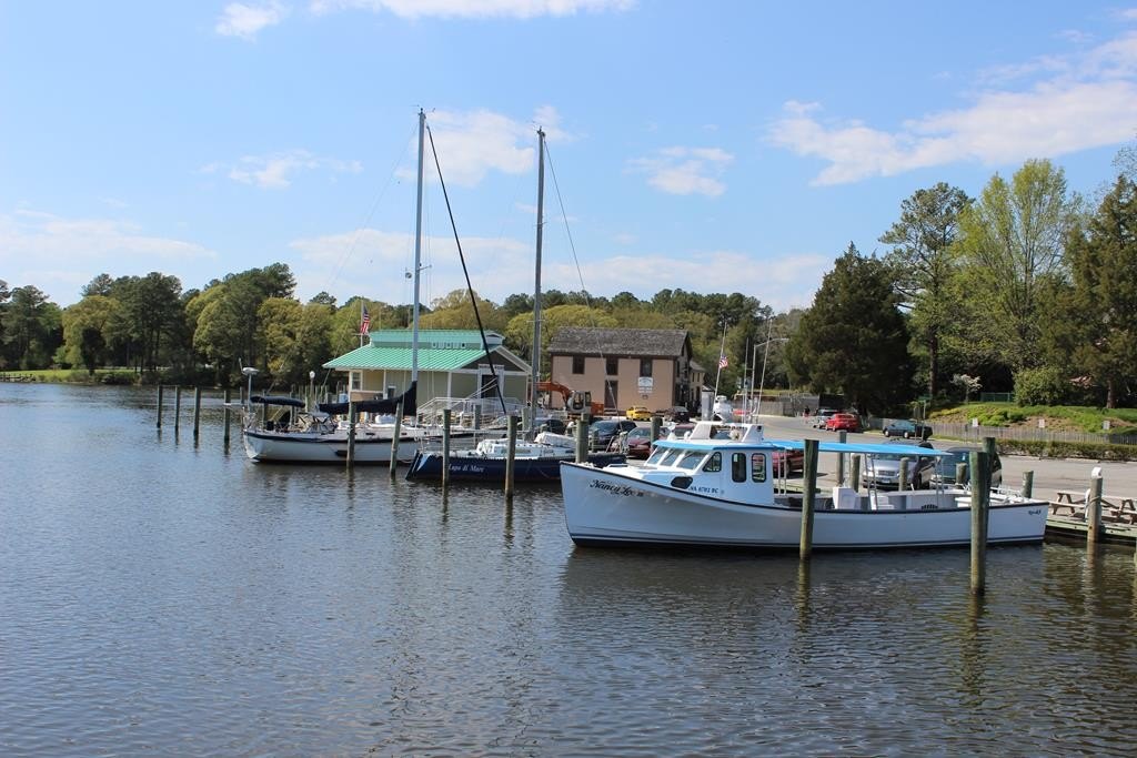 Picture 44