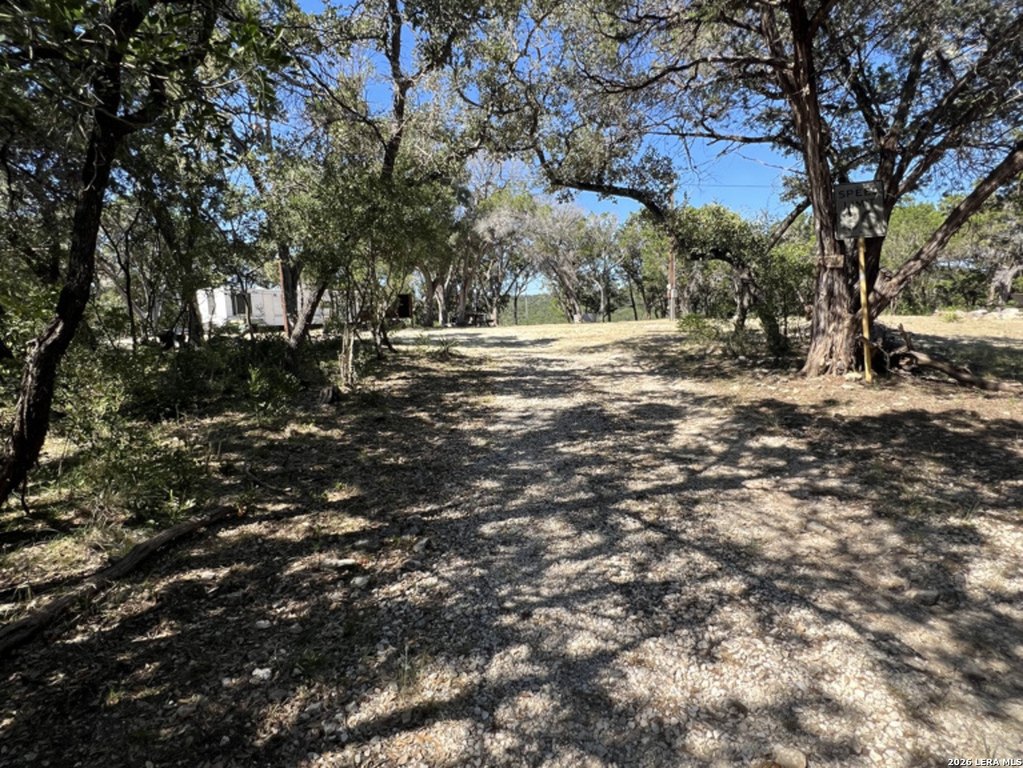 Picture 37