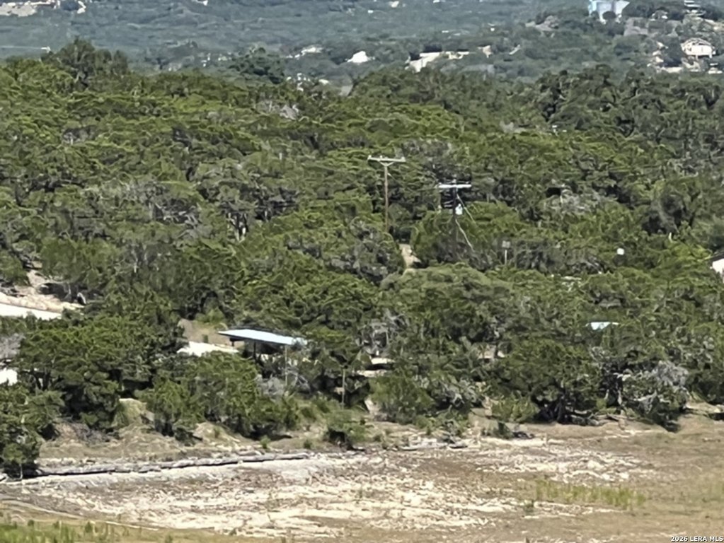 Picture 38