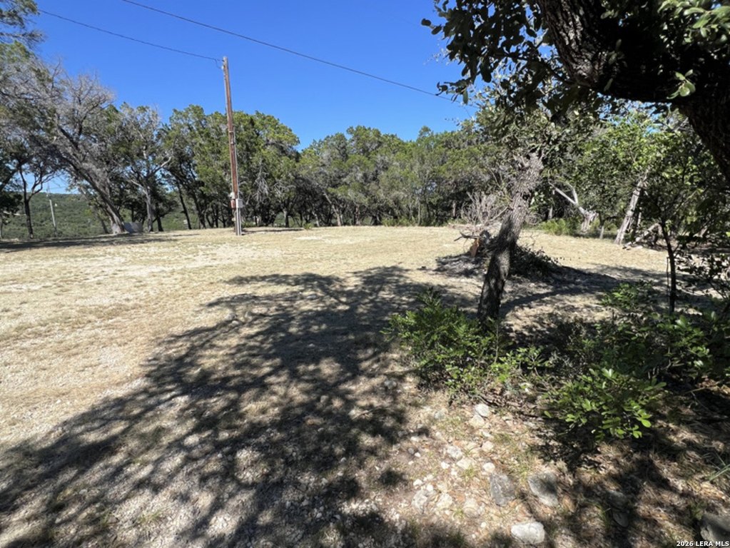 Picture 36