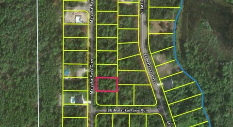 Residential Lot in Ocklawaha, FL
