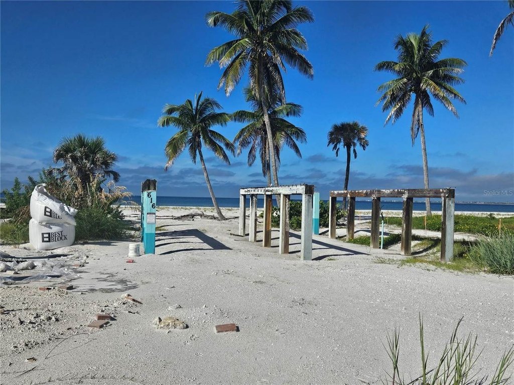 Picture 15