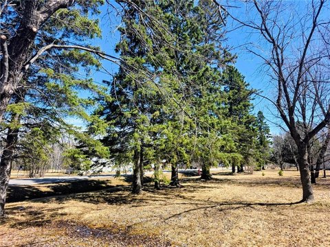 Ranier Land Near Voyageur Park