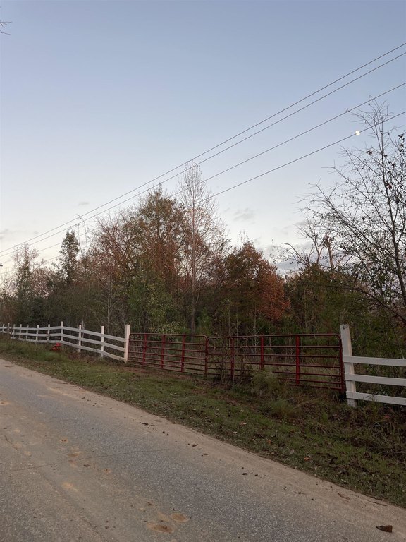 Picture 7