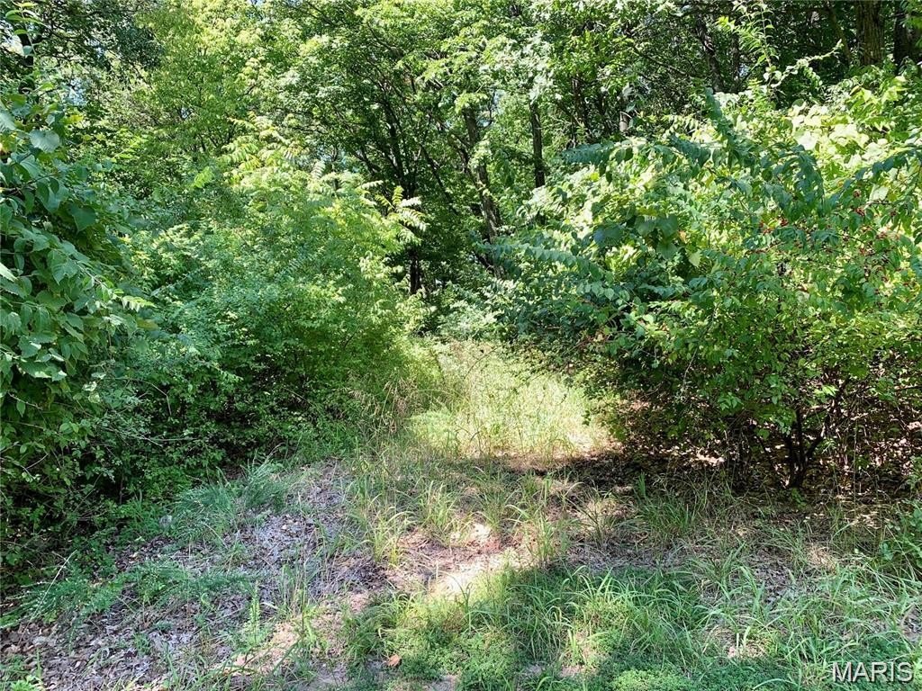 Picture 6