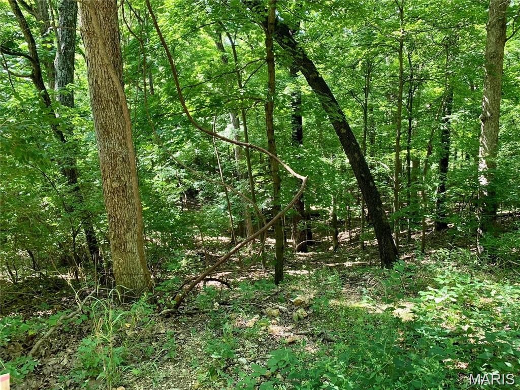 Picture 9