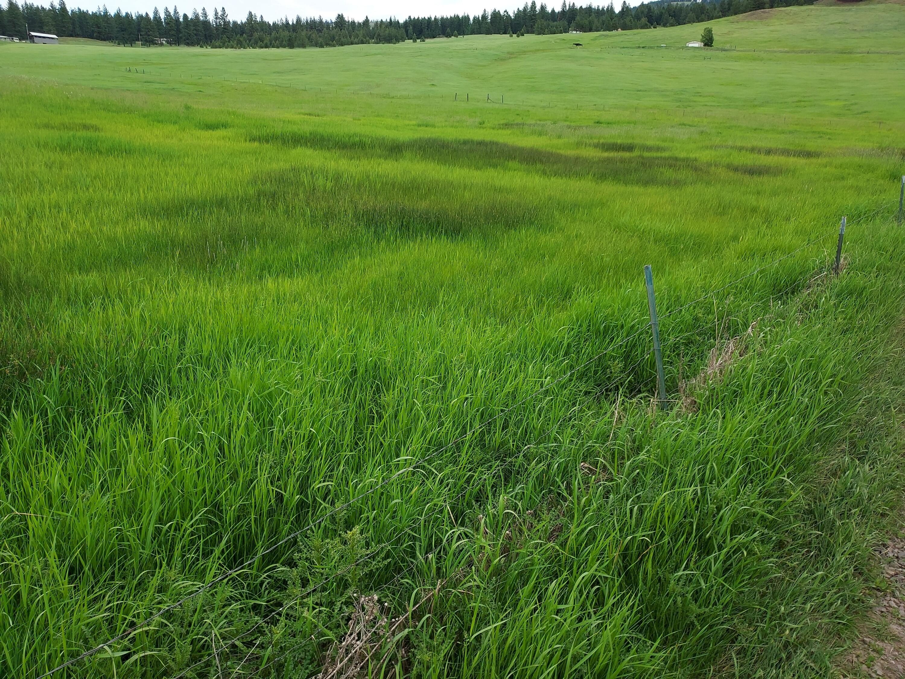 Pastoral Acreage in Republic, WA