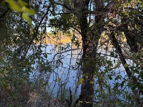 Pond-Front Home Building Lots