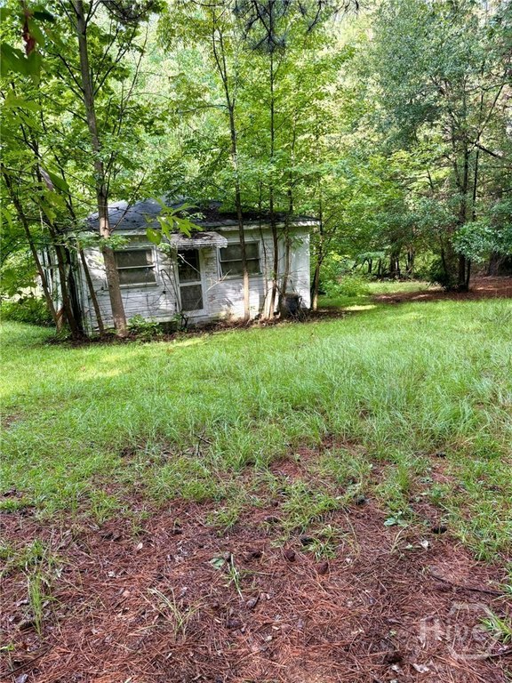 Picture 4