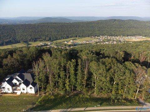 Mountain Top Estate Homesite