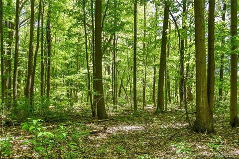 Arcadia Twp Building Site