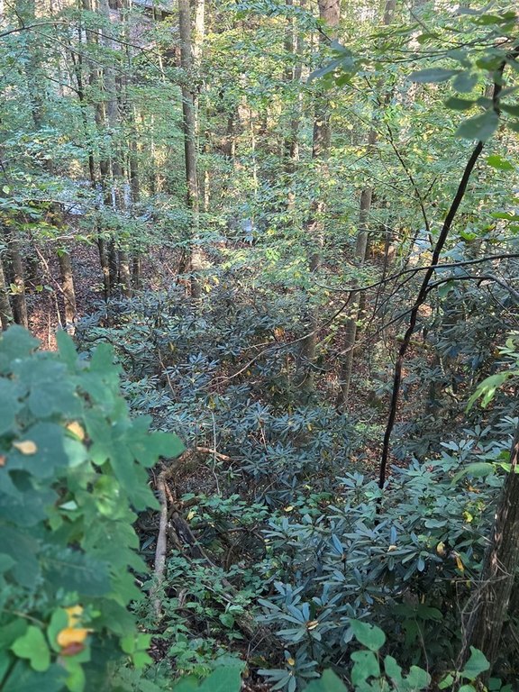 Picture 11