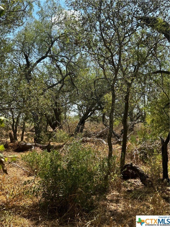 Floresville Acreage with Owner Financing