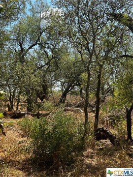 Floresville Acreage with Owner Financing