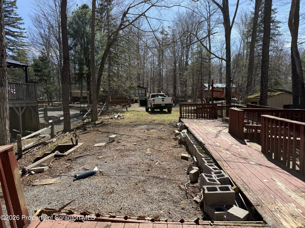 Picture 3
