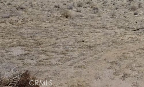 Undeveloped Land in 29 Palms