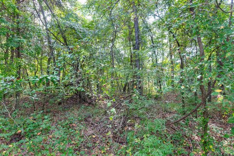 Rural Land Tract