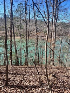 Wooded Lot Near Sipsey River