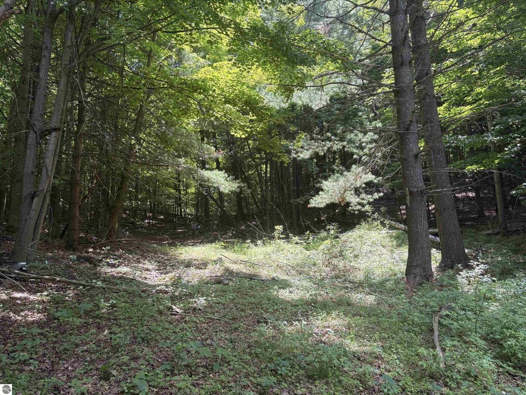 Picture 24