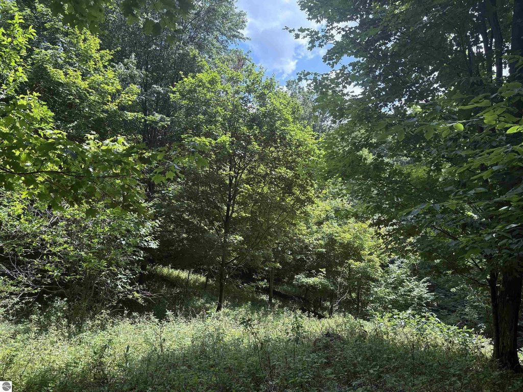 Picture 18